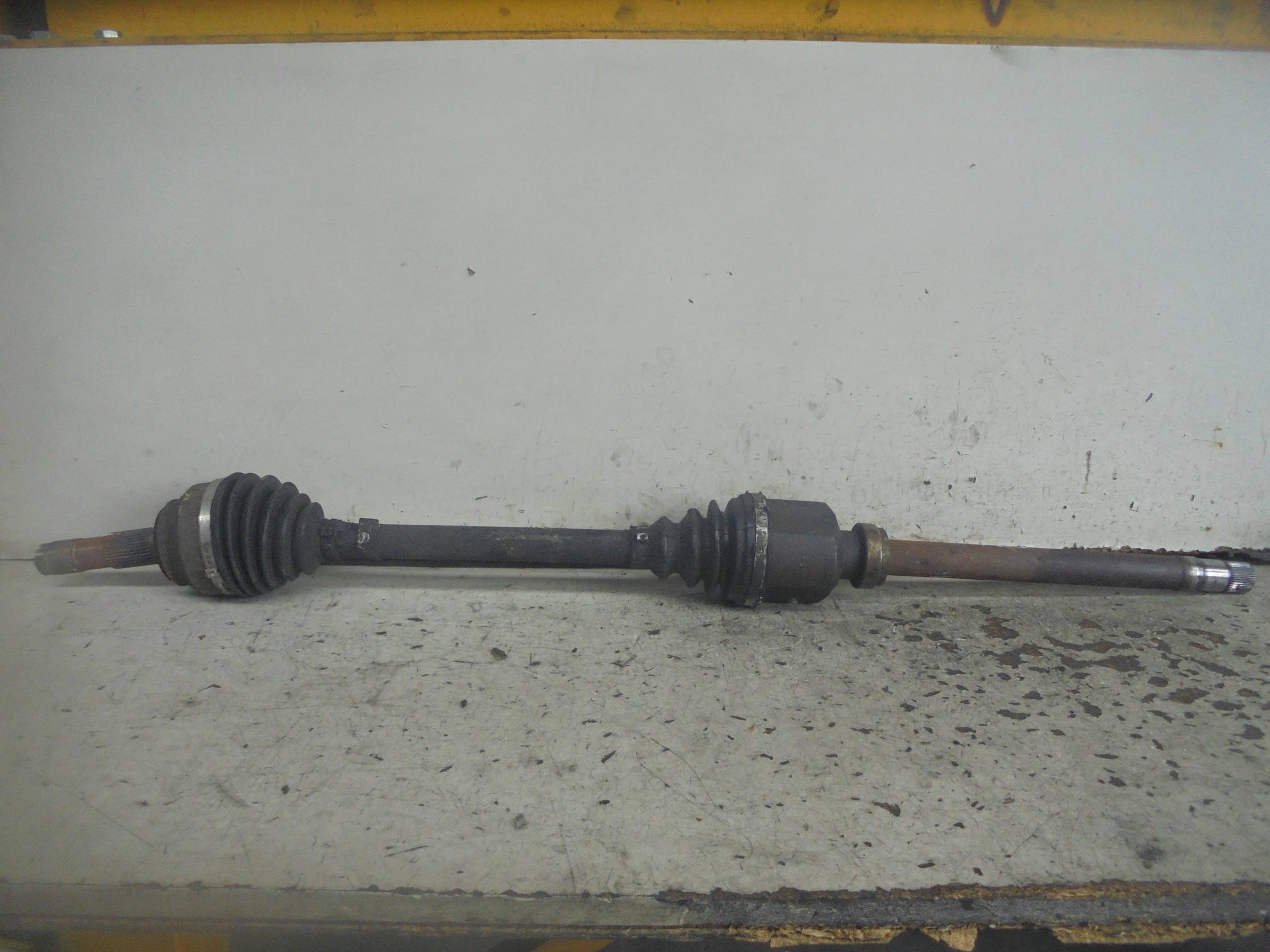 Semialbero ant. compl. dx.